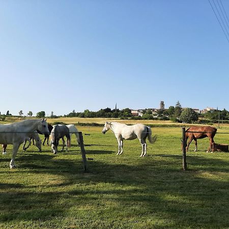 Вилла Domaine Laloubin Montagnac-sur-Auvignon Экстерьер фото